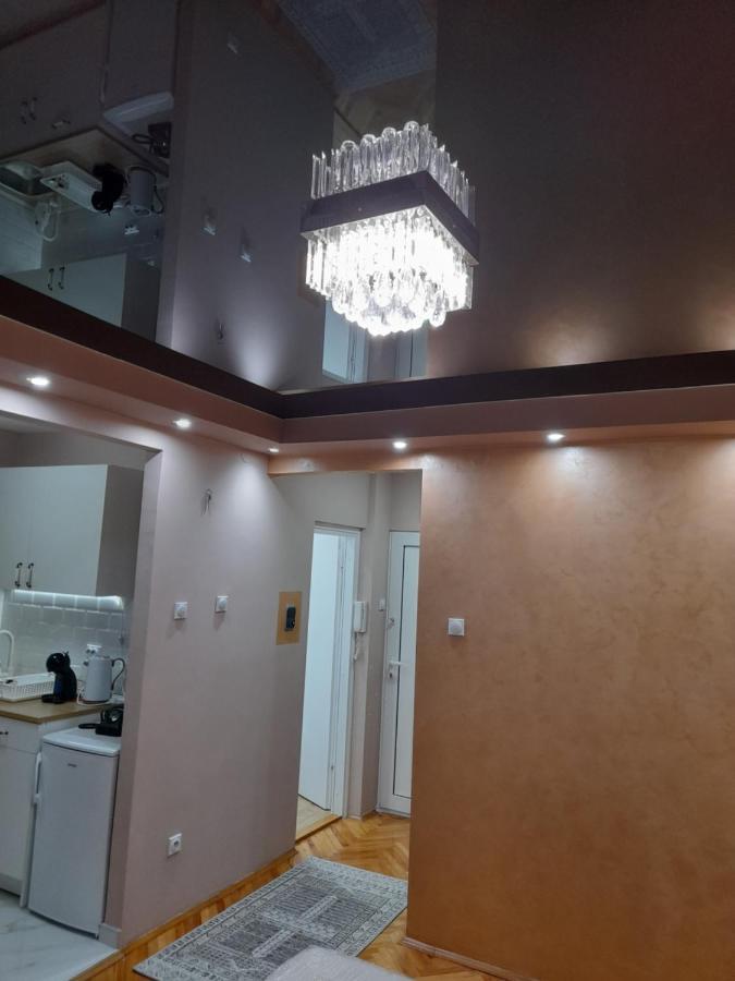 Iva Lux Apartman Zaječar Exteriér fotografie